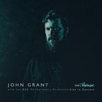 John Grant And The BBC Philharmonic - LP (5400863005405)