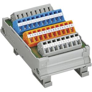 WAGO 289-664 Terminal block Inhoud: 1 stuk(s)