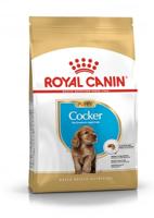 Royal Canin 6656509 C-08941 S.H. Nut Cocker Junior - 3 kg,cranberry
