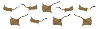 Safari speeldierenset roggen junior 2 cm bruin 192 stuks Safari speeldierenset roggen junior 2 cm bruin 192 stuks