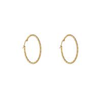 Day&Eve Oorringen Fine Twist Hoop | Goud