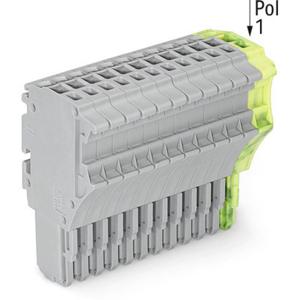 WAGO 2020-113/000-036 Connector, female Grijs, Groen, Geel 10 stuk(s)