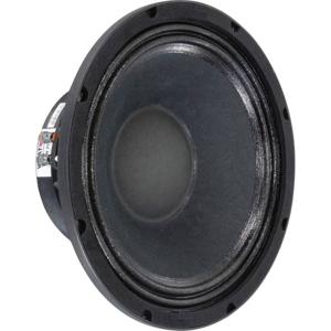 Visaton PAW 25 - 8 Ohm 10 inch 25 cm Midwoofer 300 W 8 Ω