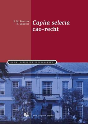 Capita selecta cao-recht - E. Verhulp, R.M. Beltzer - Paperback (9789089746993)