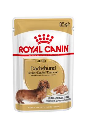 Royal Canin Adult Dachshund (Teckel) hondenvoer Natvoer (12x85g)