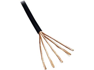 BKL Electronic 1106006/50 Audiokabel 2 x 0.1 mm² Zwart 50 m