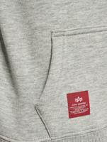 Alpha Industries / Hoody Basic in grijs