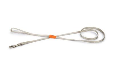 Beeztees Uni - Hondenriem - Lichtgrijs - 120 cm x 10 mm