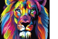 Schilderen op nummer pakket