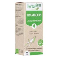 Herbalgem Frambozenstruik Bio 30ml