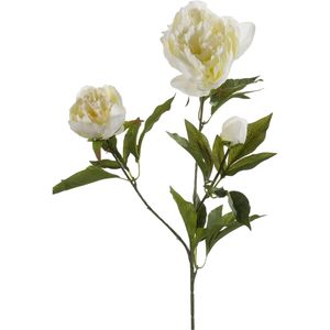 Emerald Kunstbloem pioenrozen tak - 3 bloemen - wit -  70 cm - decoratie   -