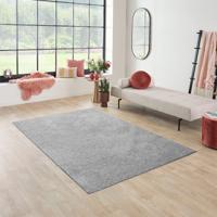 Olive Vloerkleed Santa Fe - Lichtgrijs 160 x 230 cm