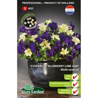 Fuseable multi-seed pil 'Petunia Blueberry Lime Jam F1'