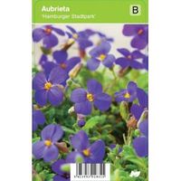 Randjesbloem (aubrieta "Hamburger Stadtpark") voorjaarsbloeier - 12 stuks