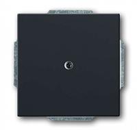 Busch-Jaeger BUSC Centrale schijf 1742-81 solo