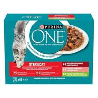 Purina Kattenvoer One 12 x 85 g