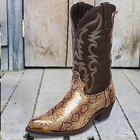 Voor heren Laarzen Cowboy westernlaarzen Alledaagse kleding Afspraakje PU Zilver Goud Herfst Winter Lightinthebox