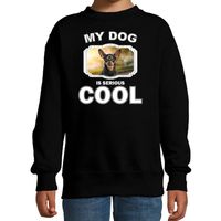 Dwergpinscher honden trui / sweater my dog is serious cool zwart voor kinderen - thumbnail