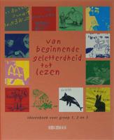 Van beginnende geletterdheid tot lezenideeenboek - D. Loeve - Hardcover (9789053000410)