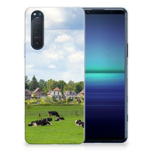 Sony Xperia 5II TPU Hoesje Koeien