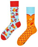 The Wish Fish sokken