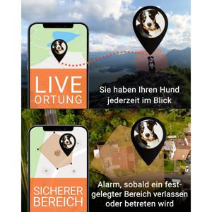 PAJ GPS PET Finder 4G GSM-tracker Huisdiertracker