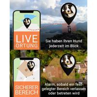 PAJ GPS PET Finder 4G GSM-tracker Huisdiertracker - thumbnail