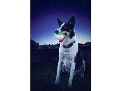 NITE Ize GlowStreak LED-hondenbal Transparant 1 stuk(s) NITE Ize GlowStreak LED-hondenbal Transparant 1 stuk(s)