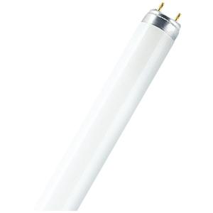 OSRAM TL-lamp Energielabel: G (A - G) G13 36 W Warmwit Buis (Ø x l) 26 mm x 1213.5 mm 1 stuk(s)