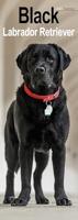 Black Labrador Retriever Slim Calendar 2026 Dog Breed Slimline Calendar - 12 Month