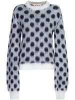 Marni pull à pois en intarsia - Blanc