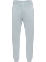 Alexander McQueen pantalon de jogging en coton biologique - Bleu