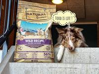 Natural Greatness Wild Recipe (2kg)