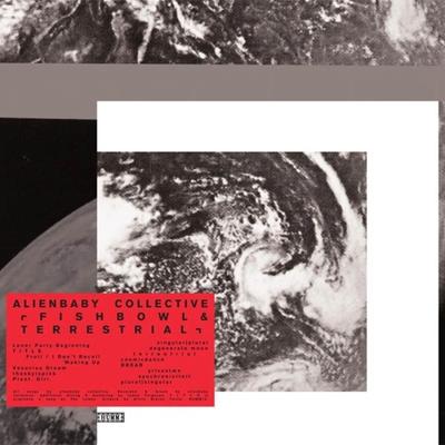 Fishbowl / Terrastrial - LP (5060179706740)
