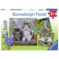 Ravensburger 08046 puzzel Contourpuzzel 49 stuk(s)