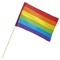 Zwaaivlag regenboog 76cm - thumbnail