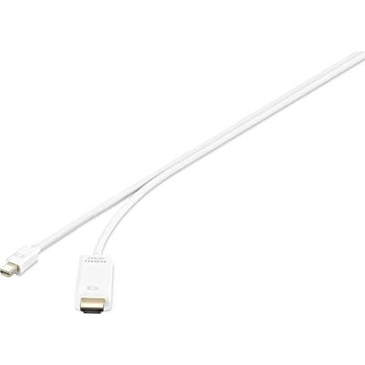 Renkforce RF-4660902 DisplayPort-kabel Mini-displayport/HDMI Adapterkabel Mini DisplayPort-stekker, HDMI-A-stekker 1.