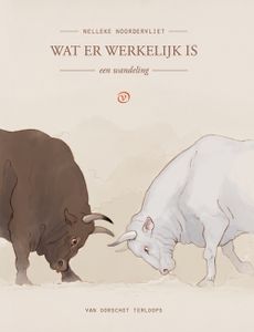 Wat er werkelijk is - Nelleke Noordervliet - ebook