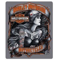 Harley-Davidson Biker Babe Harten Aas Metalen Bord Met Reliëf - thumbnail