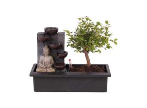 Bonsai met waterval 'Buddha'