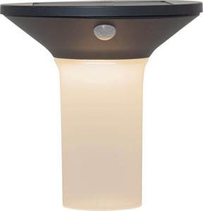 Eglo Solar lamp Corbezzola met bewegingssensor 900243