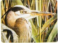 LG-Imports legpuzzel Specht junior karton 15 stukjes