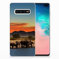 Samsung Galaxy S10 Plus TPU Hoesje Olifanten