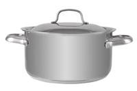 Daily Kookpot Met Deksel D20xh10cm Roestvrij Staal 3l