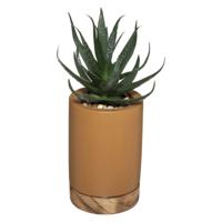 Atmosphera kunstplant vetplant in pot van cement bruin 20 cm