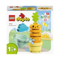 LEGO® DUPLO® 10981 Groeiende wortel - thumbnail