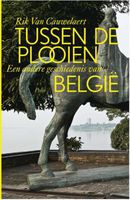 Tussen de plooien - Rik van Cauwelaert - ebook - thumbnail