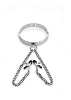 Slave Collar with Nipple Clamps - Silver - thumbnail