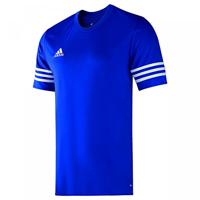 Adidas Heren Entrada 14 Jersey - Kobalt/Wit, Klein