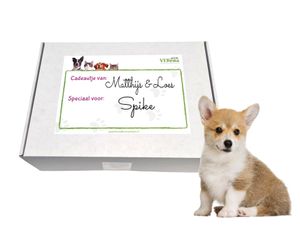 Puppy Cadeau Box